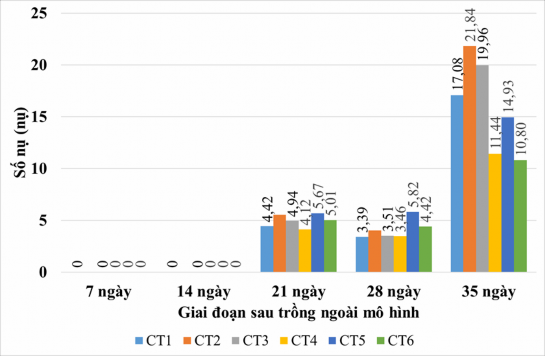 Hình 4 6 Chỉ tiêu số nụ của cây Lạc tiên tại các công thức bón phân Hình 6