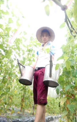 Kiểm tra sâu bệnh hại Quá trình tưới phân Cây sau sau ngoài mô hình 28 ngày Lạc 14