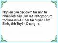 Nghiên cứu đặc điểm tái sinh tự nhiên loài cây Lim xẹt Peltophorum tonkinensis A.Chev tại huyện Lâm Bình, tỉnh Tuyên Quang - 1