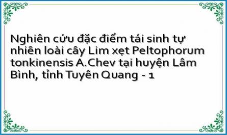 Nghiên cứu đặc điểm tái sinh tự nhiên loài cây Lim xẹt Peltophorum tonkinensis A.Chev tại huyện Lâm Bình, tỉnh Tuyên Quang