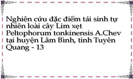 Nghiên cứu đặc điểm tái sinh tự nhiên loài cây Lim xẹt Peltophorum tonkinensis A.Chev tại huyện Lâm Bình, tỉnh Tuyên Quang - 13