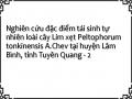 Nghiên cứu đặc điểm tái sinh tự nhiên loài cây Lim xẹt Peltophorum tonkinensis A.Chev tại huyện Lâm Bình, tỉnh Tuyên Quang - 2