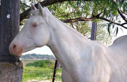 2 2 Đặc điểm điều kiện tự nhiên kinh tế xã hội Tỉnh Thái Nguyên 2 2 1 2