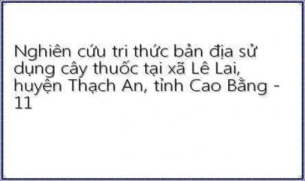 Nghiên cứu tri thức bản địa sử dụng cây thuốc tại xã Lê Lai, huyện Thạch An, tỉnh Cao Bằng - 11
