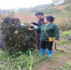 2 Điều tra phỏng vấn bà Chầu xóm Nà Cóc 4 Phỏng vấn ông Nông Hồng Phong tại 4