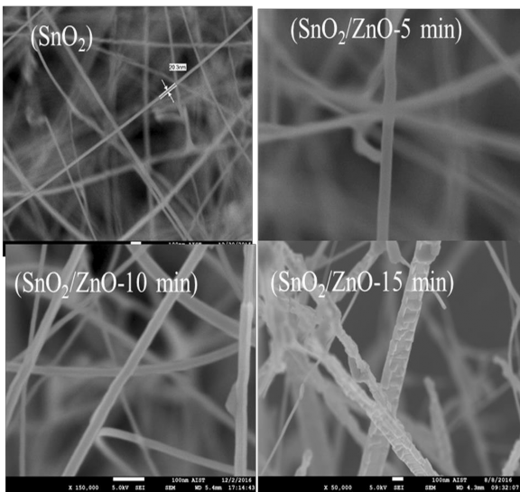 Ảnh SEM của cảm biến dây nano cấu trúc SnO 2 và SnO 2 ZnO với thời gian biến 1