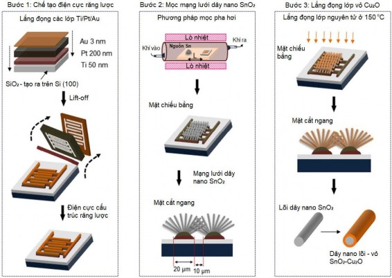Quy trình chế tạo dây nano cấu trúc lòi vỏ n SnO 2 p Cu 2 O 38 Do vậy trong 2