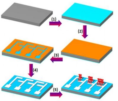 Mô hình chế tạo dây nano SnO 2 1 oxi hóa lớp Si để tạo SiO 2 2 phủ lớp 2