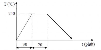 Hình 2 3 Chu trình nhiệt chế tạo dây nano SnO 2 Khi nhiệt độ trong lò đạt 3