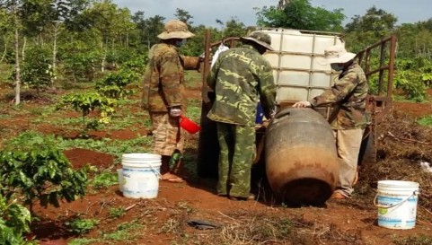 Xử lý các loại thuốc hóa học sinh học thực hiện thí nghiệm Cây cà phê bị 1