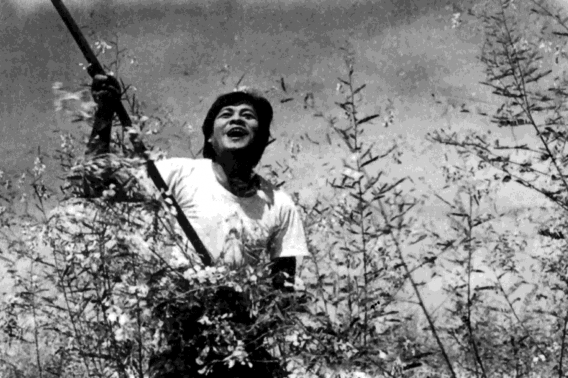 Hình 4 Ba Đô trong phim Cánh đồng hoang Hình 5 Tâm trong phim Đời cát 4