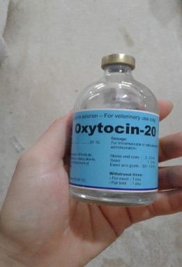 Hình 11 Thuốc Oxytocin 7