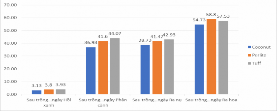 Biểu đồ 4 1 Ảnh hưởng của giá thể đến các thời kỳ sinh trưởng của 1