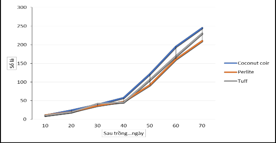 Biểu đồ 4 3 Ảnh hưởng của giá thể đến sự ra lá của loài hoa Solanna Golden 3