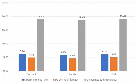 Biểu đồ 4 5 Ảnh hưởng của giá thể đến chất lượng hoa của loài hoa 4