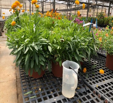 Xác định lượng nước tưới 9