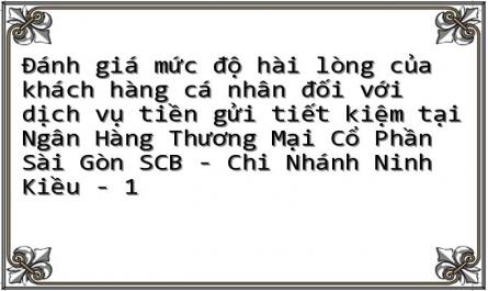Đánh giá mức độ hài lòng của khách hàng cá nhân đối với dịch vụ tiền gửi tiết kiệm tại Ngân Hàng Thương Mại Cổ Phần Sài Gòn SCB - Chi Nhánh Ninh Kiều