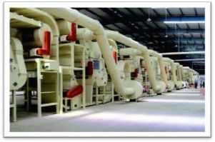 Hình 2 XÍ NGHIỆP CHẾ BIẾN TẠI TỈNH ĐỒNG NAI Hình 3 VÀNG SẤY ĐÃ QUA CHẾ 3