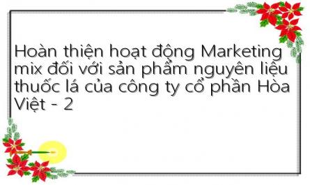 Hoàn thiện hoạt động Marketing mix đối với sản phẩm nguyên liệu thuốc lá của công ty cổ phần Hòa Việt - 2