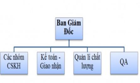 Tổng Quan Về Công Ty Cổ Phần Nguồn Nhân Lực Siêu Việt