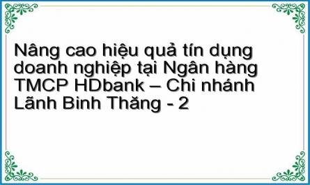 Nâng cao hiệu quả tín dụng doanh nghiệp tại Ngân hàng TMCP HDbank – Chi nhánh Lãnh Binh Thăng - 2