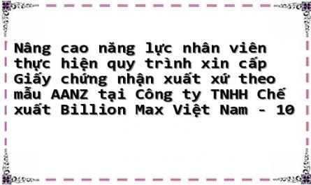 Nâng cao năng lực nhân viên thực hiện quy trình xin cấp Giấy chứng nhận xuất xứ theo mẫu AANZ tại Công ty TNHH Chế xuất Billion Max Việt Nam - 10