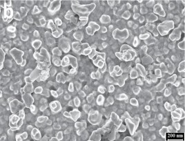 Ảnh SEM của điện cực AuNP GCE được chế tạo bằng cách áp thế 0 5 V thời 2