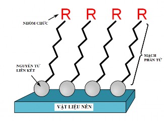 Hình 1 1 Minh họa sự hình thành SAM trên bề mặt vật liệu nền Phần liên kết 1