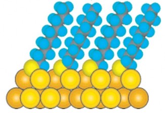 Hình 1 2 Cấu trúc decanthiolat trên tinh thể Au 111 45 Au 110 ko có đối xứng 2