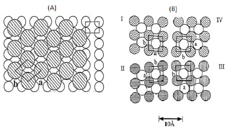 Hình 1 3 Mô hình hấp phụ thiol trên Au 110 hình A và Au 100 hình B 52 3