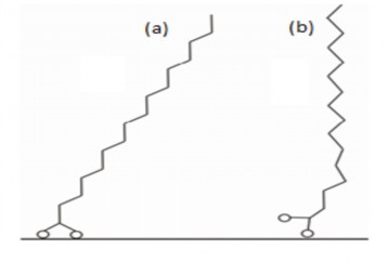 Hình 1 6 Cấu trúc đề xuất của đơn lớp n alkanoic trên bạc oxit hình a 3