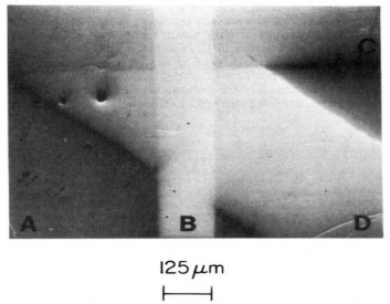 Hình 1 10 Ảnh SEM của SAM chế tạo theo phương pháp tạo khuôn Vùng A nền Au 2