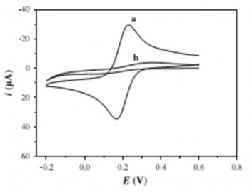 Đường CV của điện cực vàng a và điện cực DMTD Au b trongdung dịch Fe CN 6 6