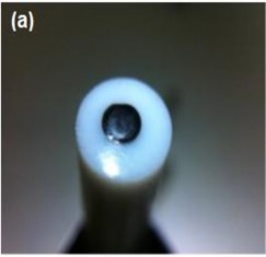 Hình 2 2 Điện cực cacbon thủy tinh trước a và sau khi tạo lớp vàng nano dạng 4