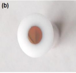 Hình 2 2 Điện cực cacbon thủy tinh trước a và sau khi tạo lớp vàng nano dạng 5