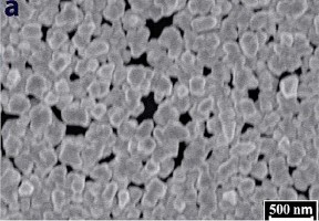 Hình 3 1 Ảnh SEM của AuNP trên bề mặt GCE được xử lý bằng các kỹ thuật 4