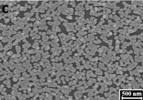 Hình 3 1 Ảnh SEM của AuNP trên bề mặt GCE được xử lý bằng các kỹ thuật 6