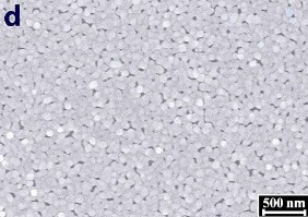 Hình 3 1 Ảnh SEM của AuNP trên bề mặt GCE được xử lý bằng các kỹ thuật 7