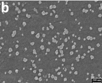 Và được sắp xếp sát nhau tạo thành lớp phủ kín bề mặt GCE hình 3 2 c 8