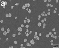 Hình 3 2 Ảnh SEM của AuNP trên bề mặt điện cực GCE với thời gian tạo vàng 1