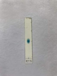 Hình 3 17 Chất tinh sạch LĐB trái và sắc kí bản mỏng của vernonioside E LĐB 2