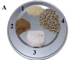 A Nguyên liệu thức ăn chuột béo 1 Bột bắp 2 Bột cá 3 Mỡ heo 4 Thức ăn 1