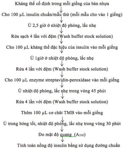 Hình 2 5 Tóm tắt quy trình định lượng insulin 1 4 1 2 1 0 y 0 042x 0 0024 R² 3