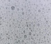 5 phút 10 phút 20 phút Hình 3 15 Sự thay đổi hình thái bong bóng bọt theo thời 10