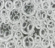 10 phút 20 phút Hình 3 15 Sự thay đổi hình thái bong bóng bọt theo thời gian Hình 12