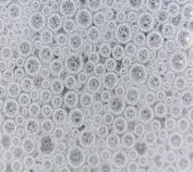 10 phút 20 phút Hình 3 15 Sự thay đổi hình thái bong bóng bọt theo thời gian Hình 13