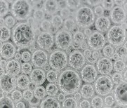 20 phút Hình 3 15 Sự thay đổi hình thái bong bóng bọt theo thời gian Hình thái 14