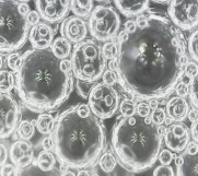 Hình 3 15 Sự thay đổi hình thái bong bóng bọt theo thời gian Hình thái bọt theo 18