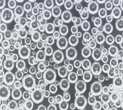 Hình 3 15 Sự thay đổi hình thái bong bóng bọt theo thời gian Hình thái bọt theo 19