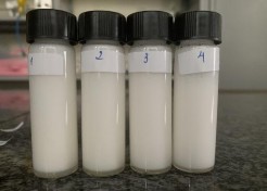 Thời điểm ban đầu Sau 5 phút Sau 10 phút Sau 15 phút Sau 20 phút Sau 25 phút Hình 2